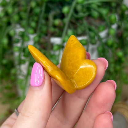 Yellow Mudstone Butterfly (Z573)