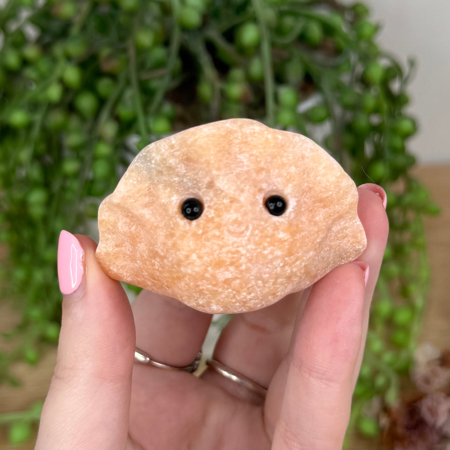 Sunstone Dumpling Pet Rock (T331) (T330)