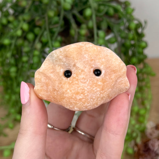 Sunstone Dumpling Pet Rock (T331) (T330)