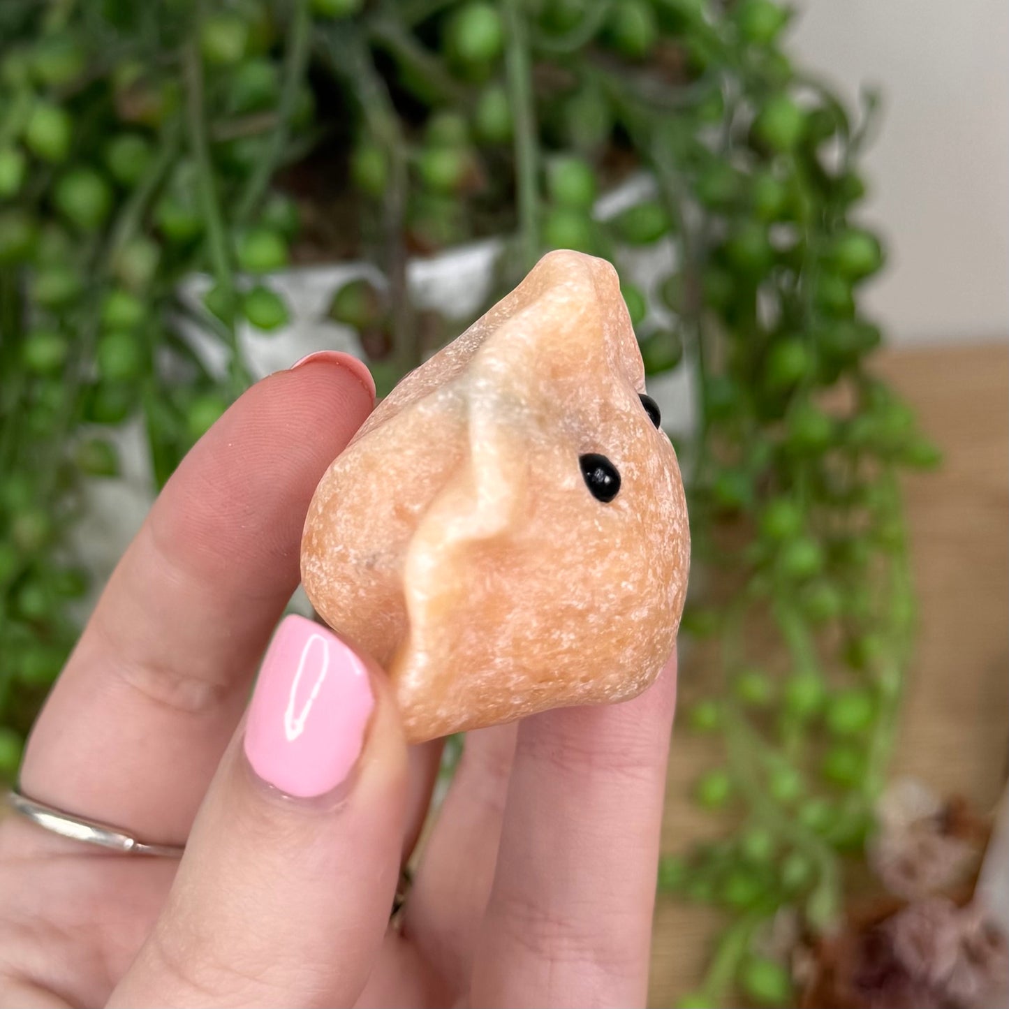 Sunstone Dumpling Pet Rock (T331) (T330)