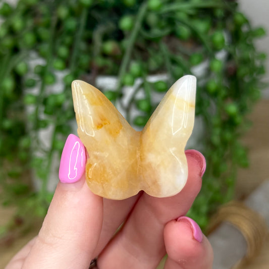 Golden Healer Butterfly (Z569)