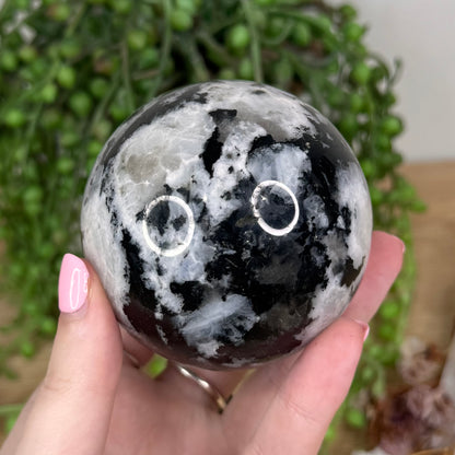 Rainbow Moonstone Sphere (T842)