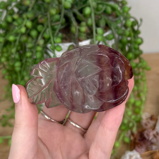 Candy Fluorite Rose (T785)