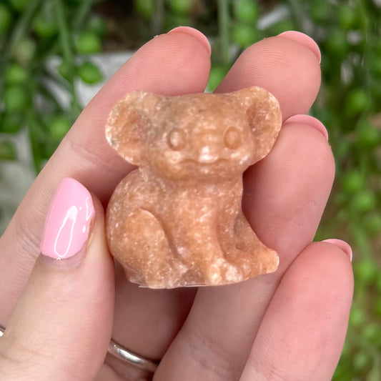 Sunstone Koala (T816)