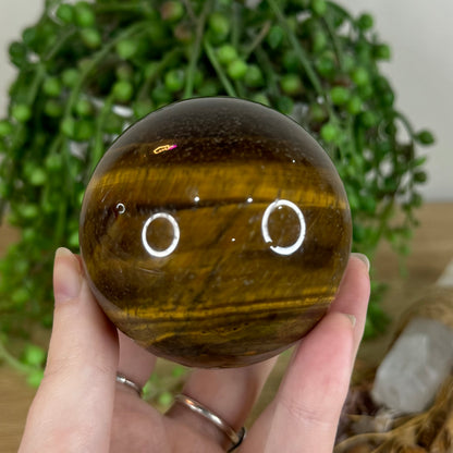 Tiger Eye Sphere (P573)