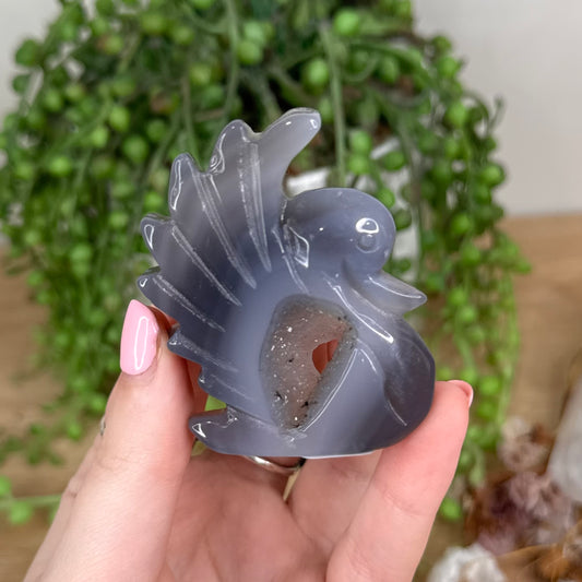 Druzy Agatę Swan (U23)