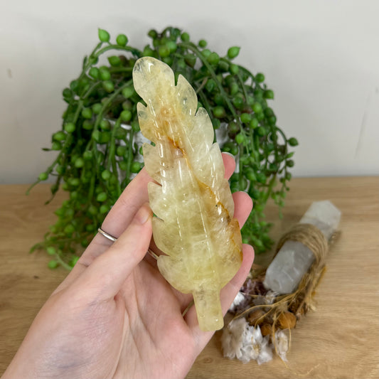 Citrine Feather (P519)