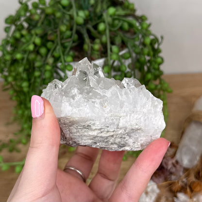 Clear Quartz Cluster (T822)