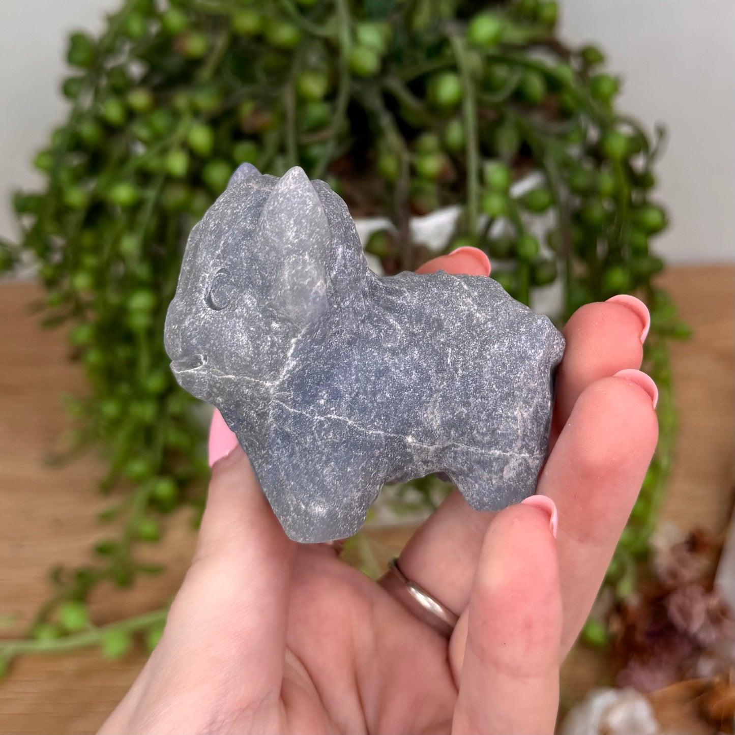 Blue Aventurine Highland Cow (U78)