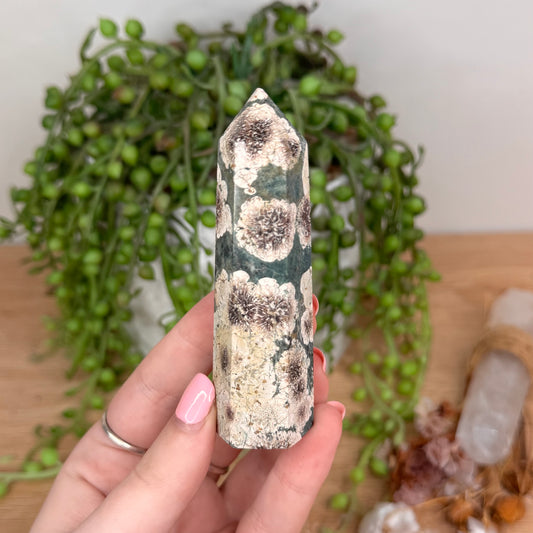 Russian Flower Agate Point (U65)