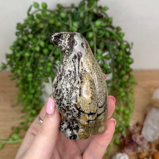 Picture Stone Jasper Penguin (U117)