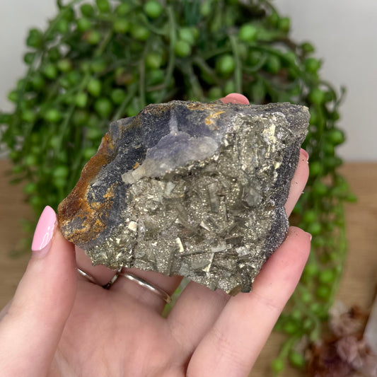 Fluorite / Pyrite Cluster (U249)