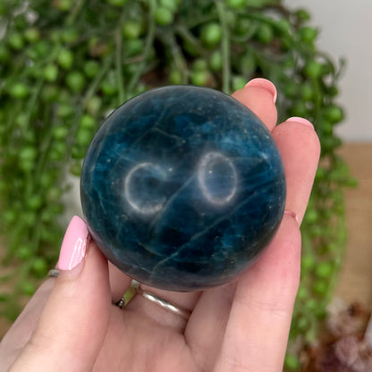 Blue Apatite Sphere (U255)