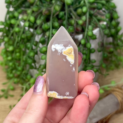 Druzy Agatę Point (169A)