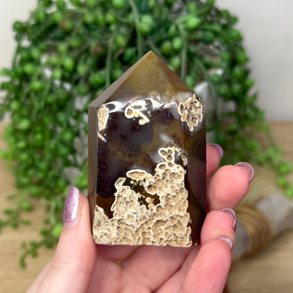 Druzy Agatę Point (172A)