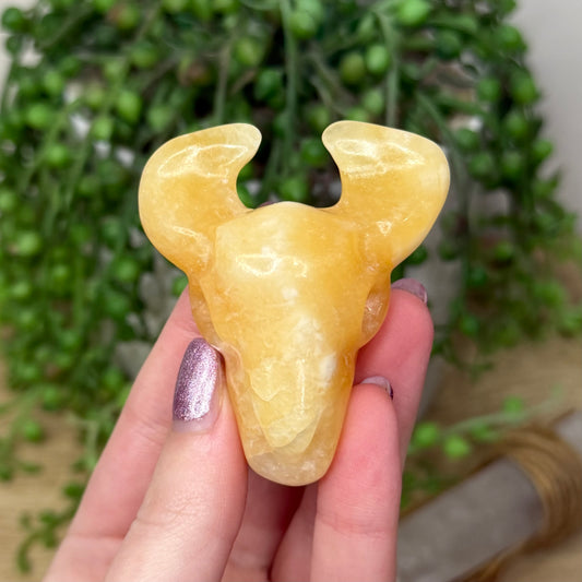 Yellow Calcite Cow Skull (188A)