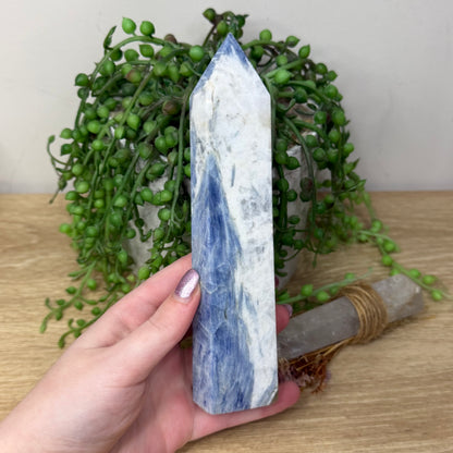 Blue Kyanite Tower (Z955)