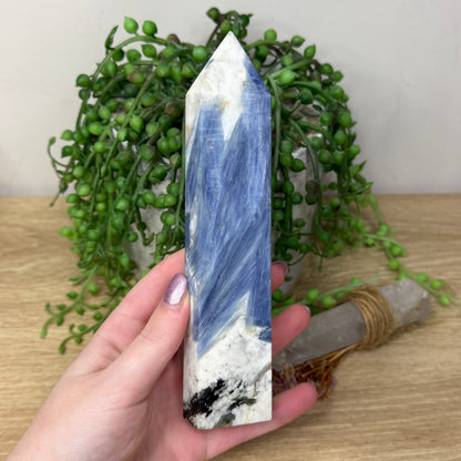 Blue Kyanite Tower (Z954)