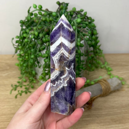 Dream Amethyst Point (Z924)