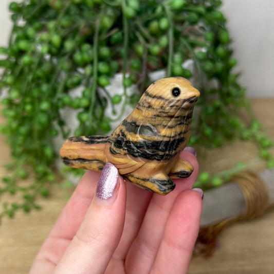 Jasper Bird (105A)