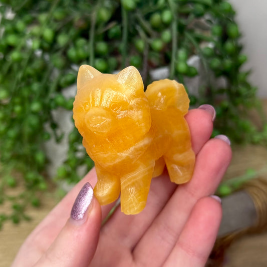 Yellow Calcite Pomeranian (110A)