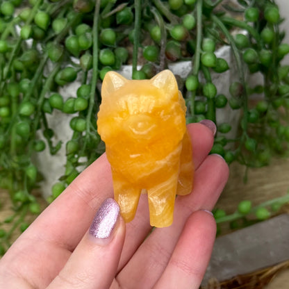 Yellow Calcite Pomeranian (110A)