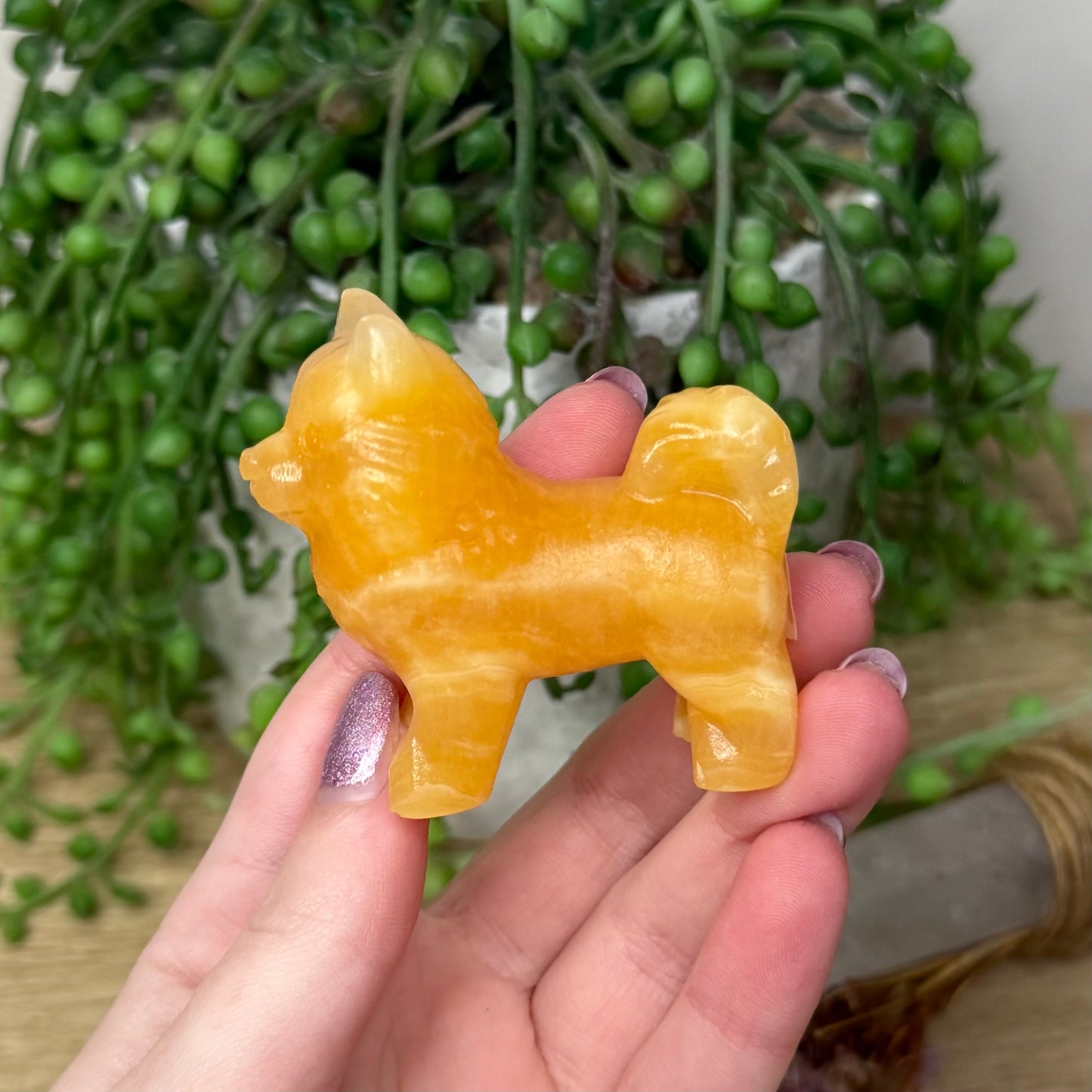 Yellow Calcite Pomeranian (110A)