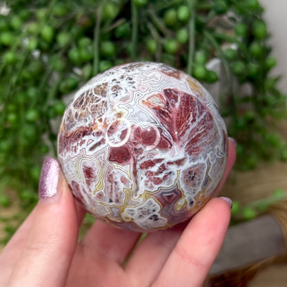 Mexican Crazy Lace Agate Sphere (Z949)