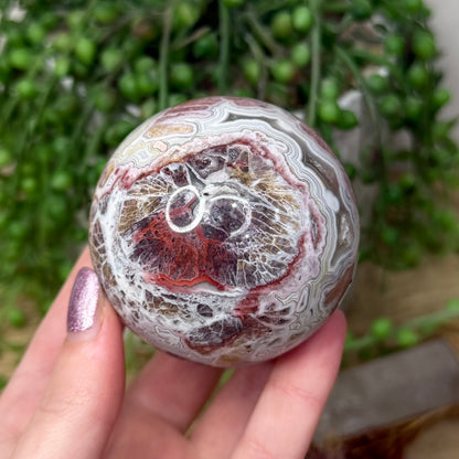 Mexican Crazy Lace Agate Sphere (Z949)