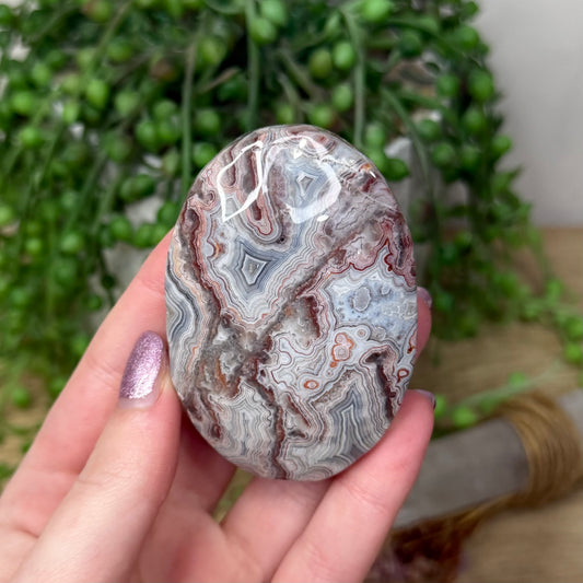 Mexican Crazy Lace Agate Palm Stone (Z945)