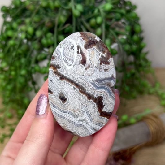 Mexican Crazy Lace Agate Palm Stone (Z944)