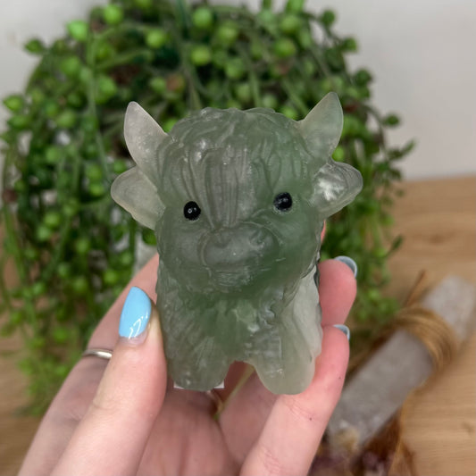 Green Fluorite Highland Cow (U603)