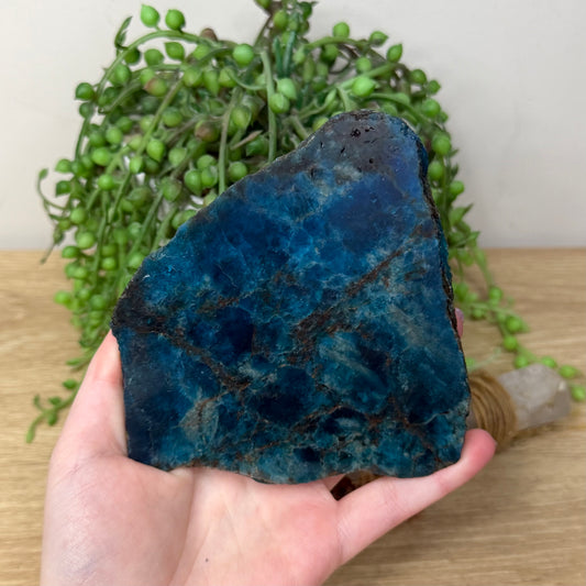 Blue Apatite Slab (Z928)