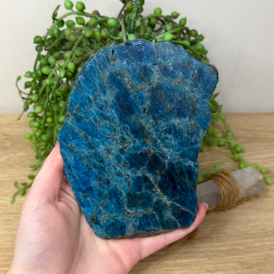 Blue Apatite Slab (Z929)
