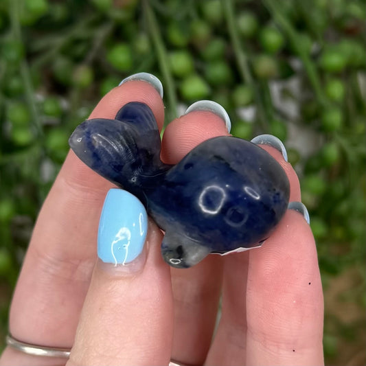 Sodalite Whale (U595)