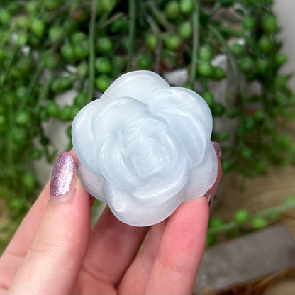 Blue Cats Eye Rose (Z940)