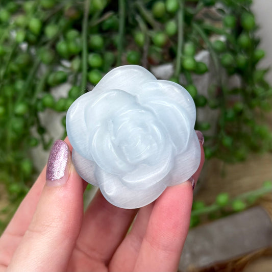 Blue Cats Eye Rose (Z940)
