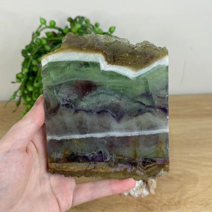 Rainbow Fluorite Slab (P353)
