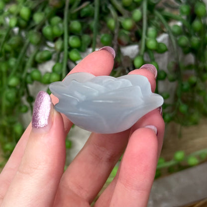 Blue Cats Eye Rose (Z940)