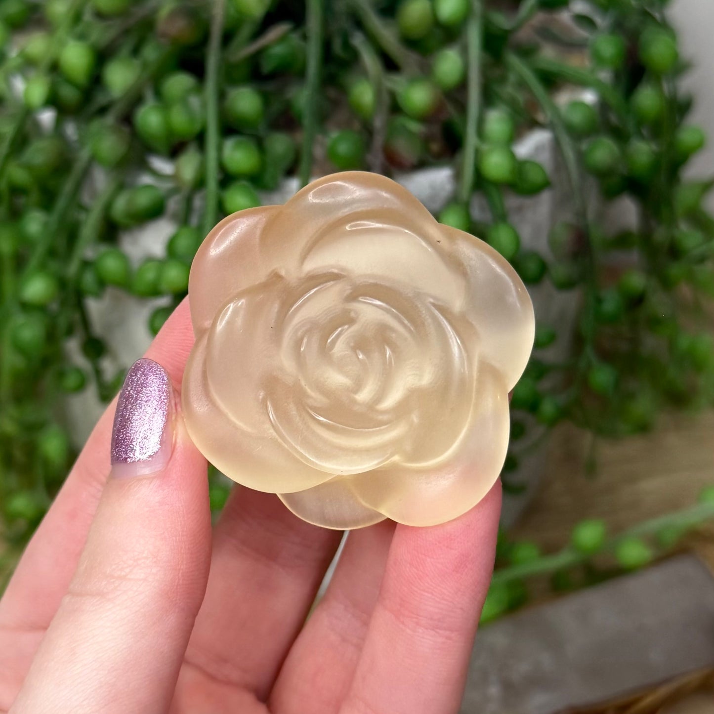 Yellow Cats Eye Rose (Z938)