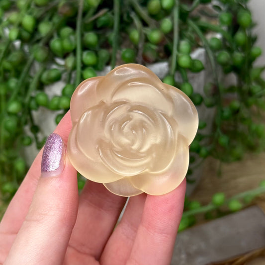 Yellow Cats Eye Rose (Z938)