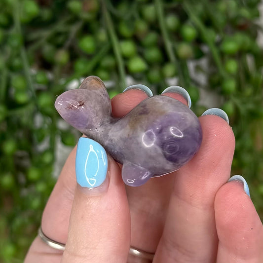 Dream Amethyst Whale (U596)