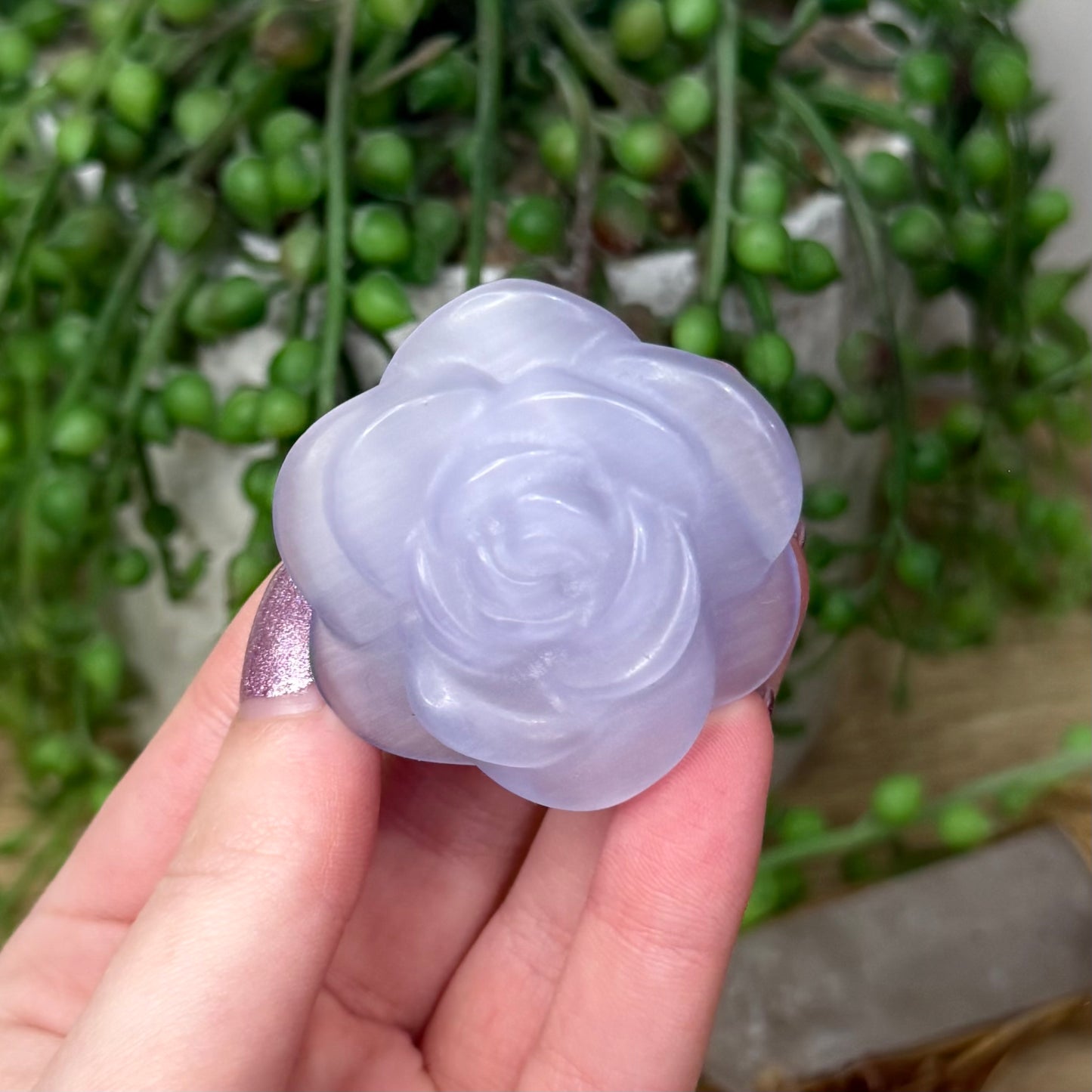 Purple Cats Eye Rose (Z941)