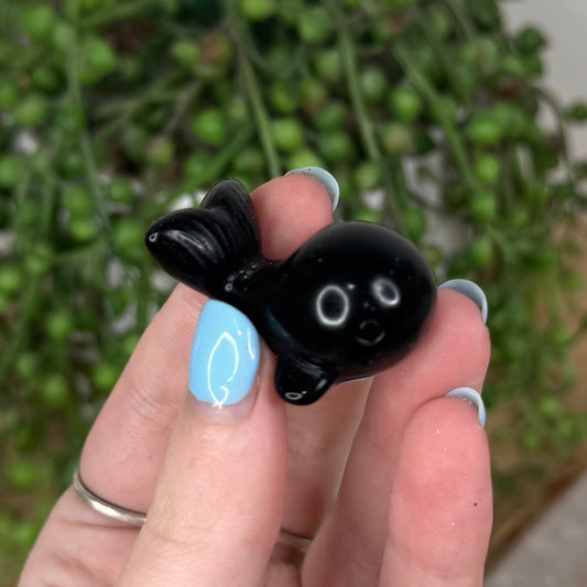 Black Obsidian Whale (U591)