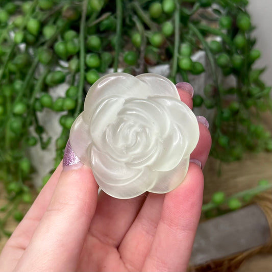 Green Cats Eye Rose (Z939)