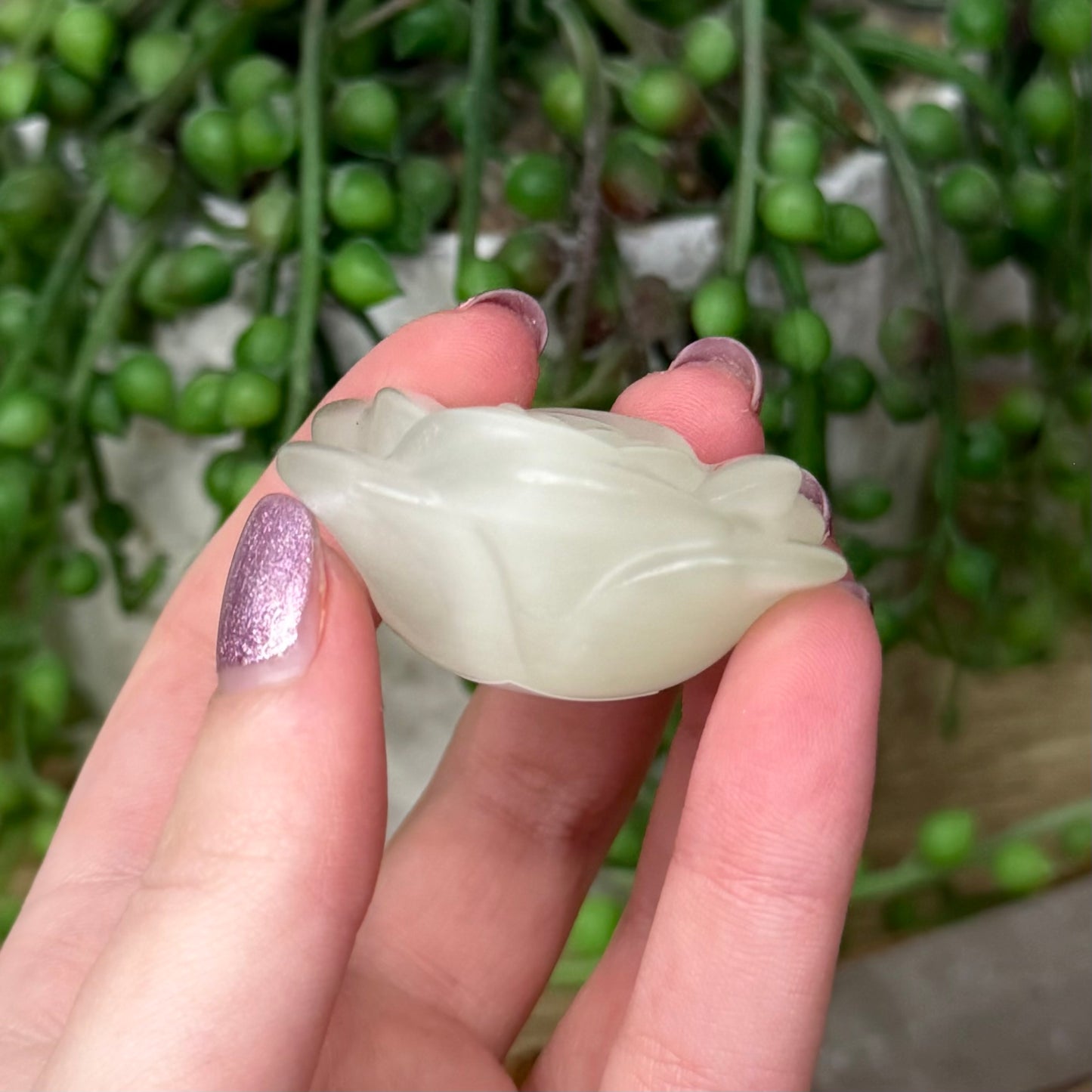 Green Cats Eye Rose (Z939)