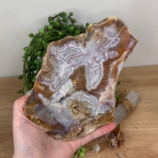 Pink Crazy Lace Agate / Carnelian Slab (U626)