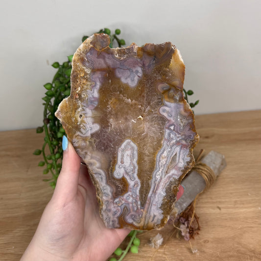 Pink Crazy Lace Agate / Carnelian Slab (U627)