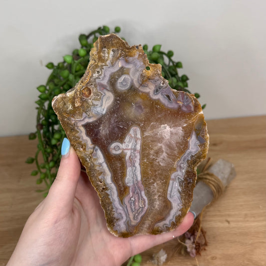 Pink Crazy Lace Agate / Carnelian Slab (U625)