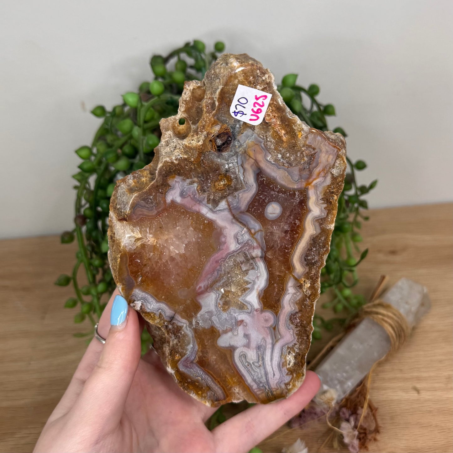 Pink Crazy Lace Agate / Carnelian Slab (U625)